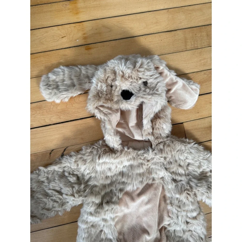 Pottery Barn kids adorable furry‎ dog costume - Picture 3 of 6